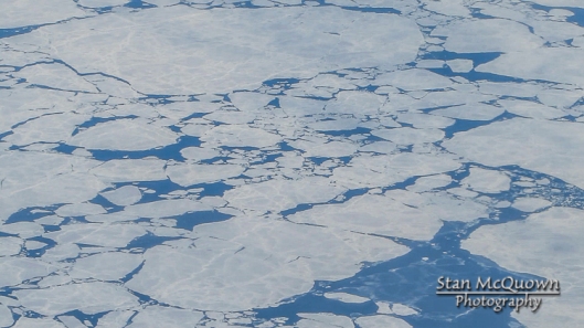 Hudson Bay ice flow!